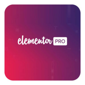 Elementor Pro